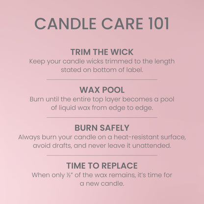 Yankee Candle 3 Wick Candle Jar, Scented Candle with up to 40 Hours of Burn Time, Premium Plant Wax Blend for Consistent Long Lasting Scent from First to Last Burn, Vanilla Cupcake 🍁 All In One Marketplace Canada