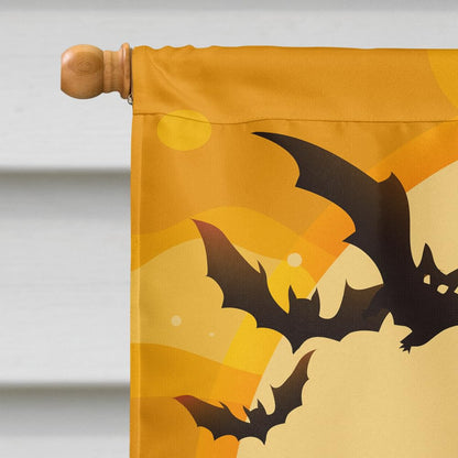 Caroline's Treasures BB4395CHF Halloween Wire Haired Dachshund Chocolate Canvas House Flag, Large, Multicolor