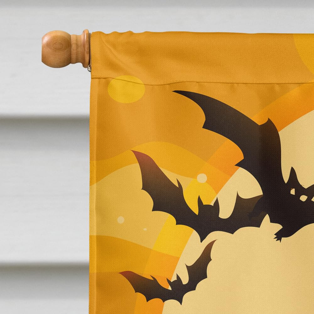 Caroline's Treasures BB4329CHF Halloween Irish Water Spaniel Flag Canvas House Size, Large, Multicolor