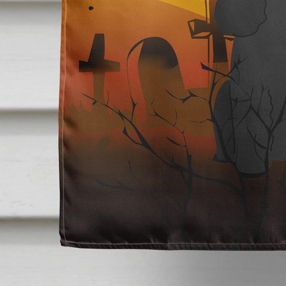 Caroline's Treasures BB4337CHF Halloween Poodle Black Flag Canvas House Size, Large, Multicolor