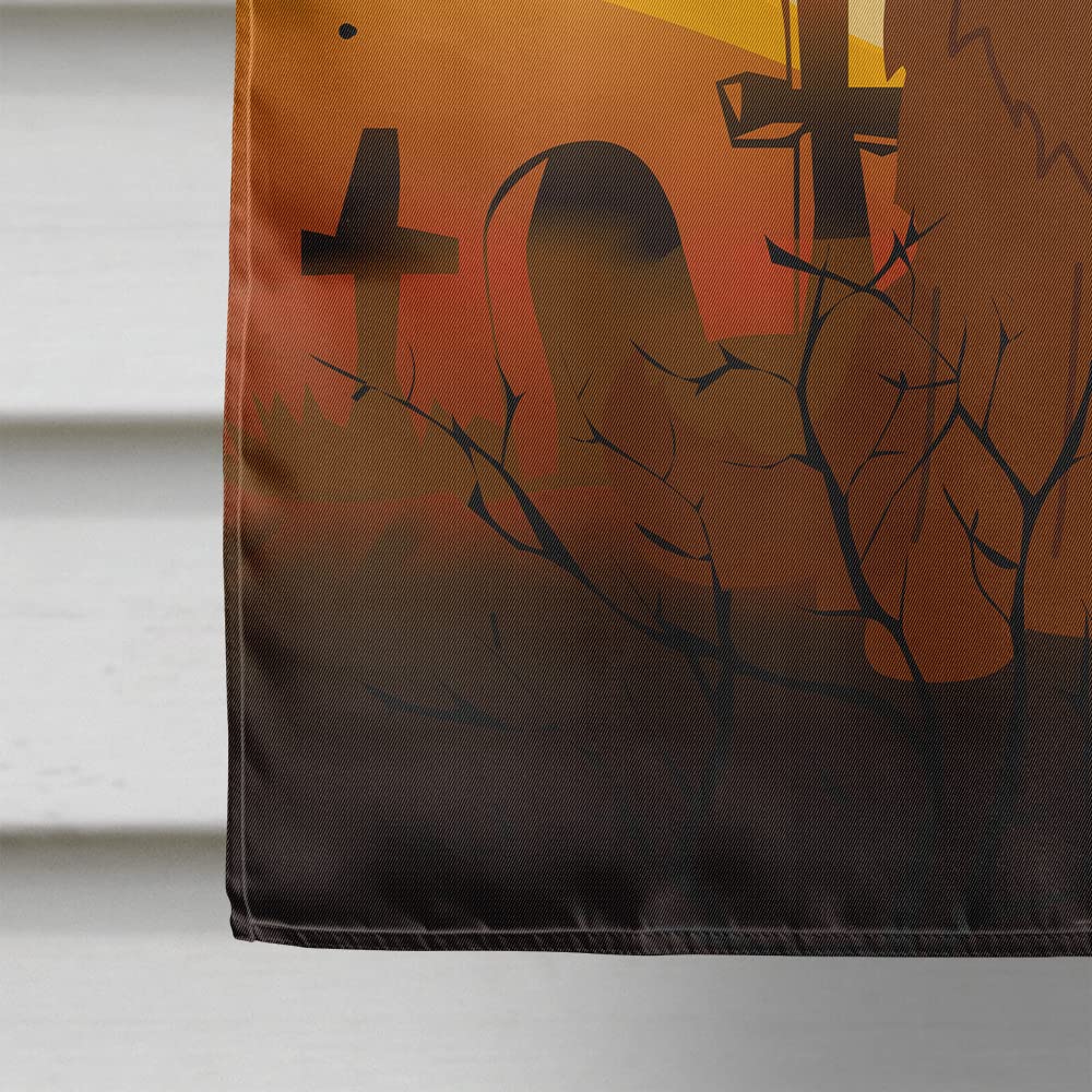 Caroline's Treasures BB4316CHF Halloween Caucasian Shepherd Dog Flag Canvas House Size, Large, Multicolor