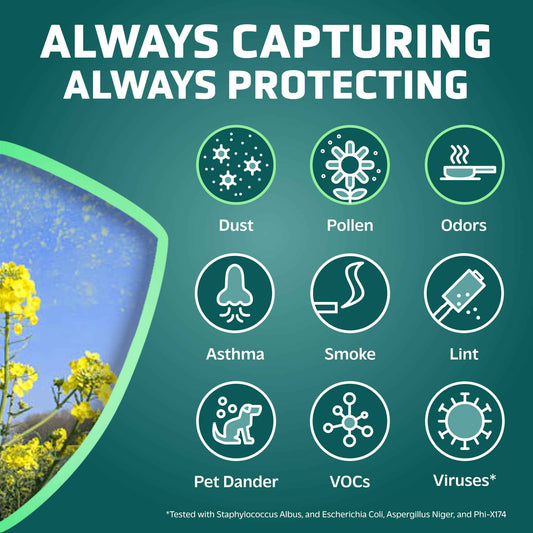 GermGuardian Filter C HEPA Pure Genuine Air Purifier Filter, Removes 99.97% of Pollutants, Wildfire Smoke, Odors, for AC5250PT, AC5000, AC5300, AC5350, AP2800, Black/Yellow, FLT5000 🍁 All In One Marketplace Canada
