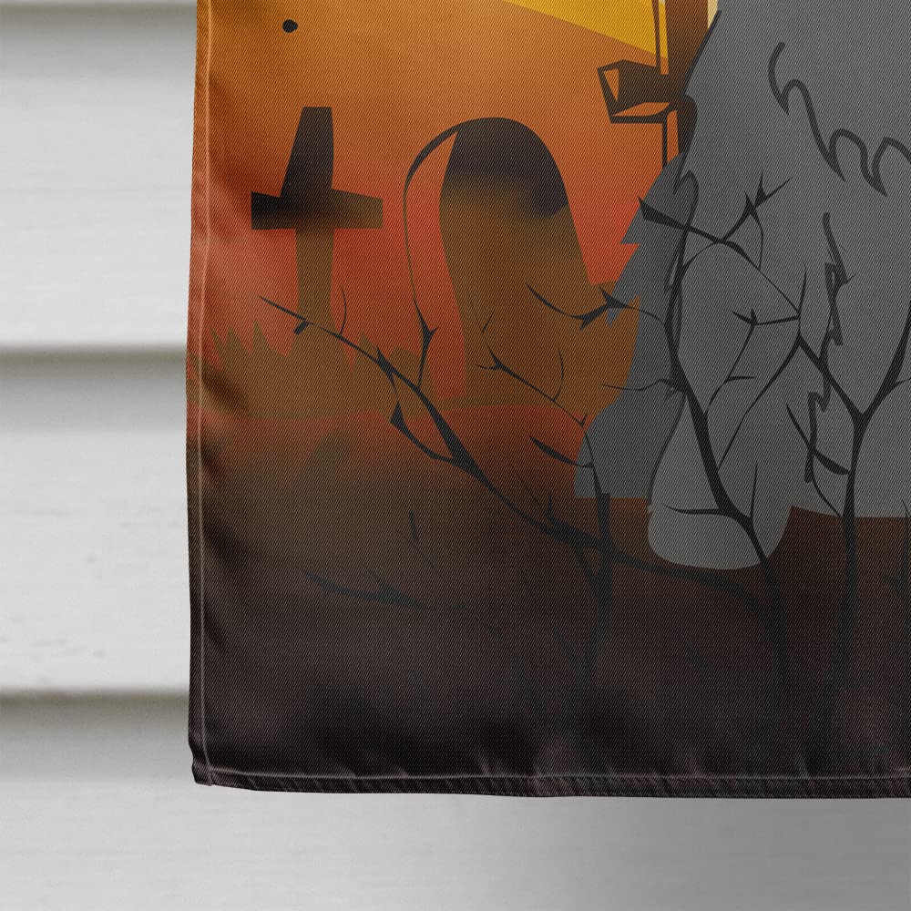 Caroline's Treasures BB4358CHF Halloween Cocker Spaniel Black Flag Canvas House Size, Large, Multicolor