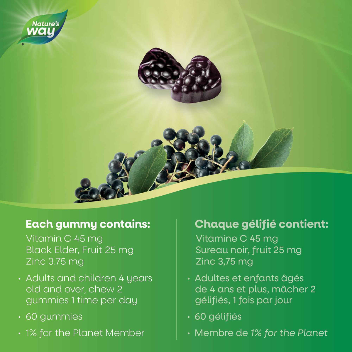Nature's Way Sambucus Immune Support Gummies – Elderberry with Vitamin C & Zinc – Supports Immune Function and Relieves Cold & Flu Symptoms – Vegetarian, Gluten-Free for Adults & Kids 4+ – 60 Gummies 🍁 All In One Marketplace Canada