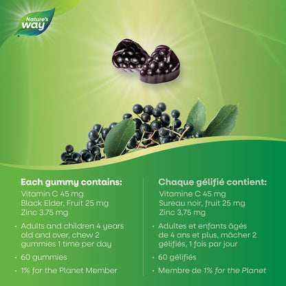 Nature's Way Sambucus Immune Cold and Flu Care Elderberry Gummies with Vitamin C and Zinc - Immune Support for Kids 4+, 60 Gummies 🍁 All In One Marketplace Canada