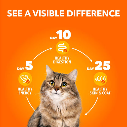 IAMS Perfect Portions Adult Wet Cat Food - Chicken and Tuna Paté Variety Pack, 75g (24 Pack) 🍁 All In One Marketplace Canada