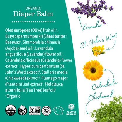 Earth Mama Organic Baby Diaper Balm, 120ml 🍁 All In One Marketplace Canada