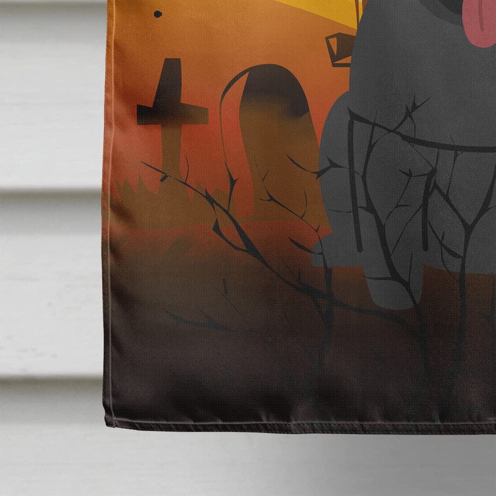 Caroline's Treasures BB4272CHF Halloween Pug Black Canvas House Size Flag, Large, Multicolor