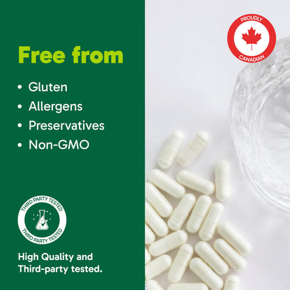 Organika Canadian-Made Advanced B-Complex 110mg- Energy and Immunity Support, Methylated B-Vitamins for Enhanced Absorption- 60vcaps 🍁 All In One Marketplace Canada