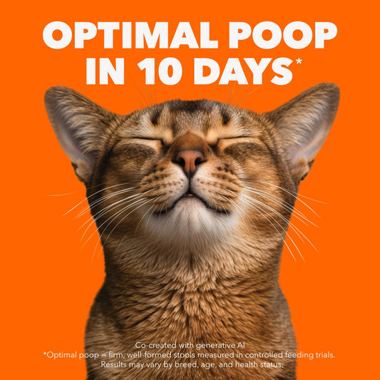 IAMS Proactive Health Urinary Tract Health Adult Dry Cat Food – with Chicken – 3.18KG (7LB) Bag 🍁 All In One Marketplace Canada