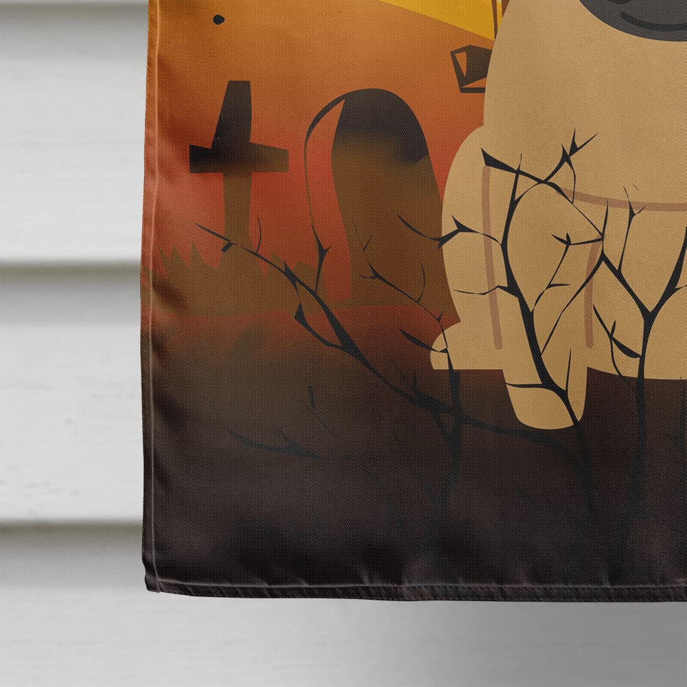 Caroline's Treasures BB4273CHF Halloween Pug Brown Canvas House Size Flag, Large, Multicolor