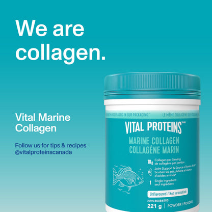 VITAL PROTEINS Marine Collagen Peptides Powder, Helps Form Collagen And Reduce Joint Pain Associated With Osteoarthritis, Source Of Amino Acids, No Added Sugar, No Artificial Colours Or Flavours, 221 g 🍁 All In One Marketplace Canada