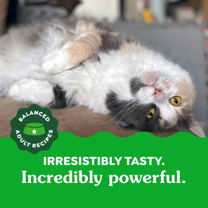 GREENIES Feline Cat Treats Natural Dental Care, Oven Roasted Chicken Flavour, 21oz. Tub 🍁 All In One Marketplace Canada