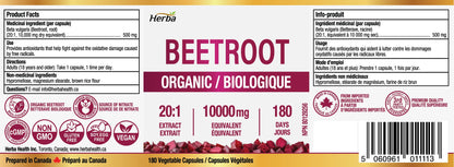 Herba 10,000mg Organic BeetRoot Capsules – 180 Count | 20:1 Beet Root Powder in Capsule | Nitric Oxide Supplements for Men & Women | Made in Canada 🍁 All In One Marketplace Canada