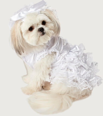 Rubies Costume Co Halloween Classics Collection Pet Costume, Medium, Bride