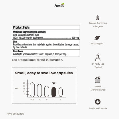 Herba 10,000mg Organic BeetRoot Capsules – 180 Count | 20:1 Beet Root Powder in Capsule | Nitric Oxide Supplements for Men & Women | Made in Canada 🍁 All In One Marketplace Canada