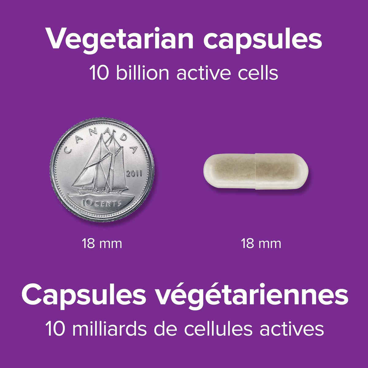 Webber Naturals Probiotic with Prebiotic, 10 Billion Active Cells, 15 Probiotic Strains, 90 Capsules, For Digestive Health, Vegan 🍁 All In One Marketplace Canada