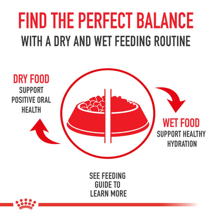 Royal Canin Feline Health Nutrition Indoor Adult Dry Cat Food, 7-Pound 🍁 All In One Marketplace Canada