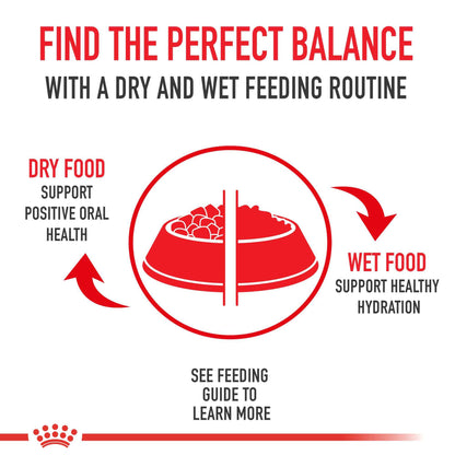Royal Canin Feline Health Nutrition Dry Indoor Cat Food, Supports Healthy Weight, Digestive Health and Hairball Management, 3 lb Bag 🍁 All In One Marketplace Canada