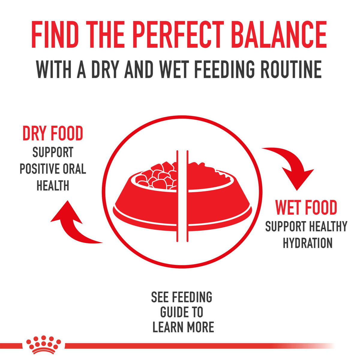 Royal Canin Feline Health Nutrition Sensitive Digestion Cat Food Dry Formula, Balanced Nutrition to Support Digestive Health, 7 lb Bag 🍁 All In One Marketplace Canada