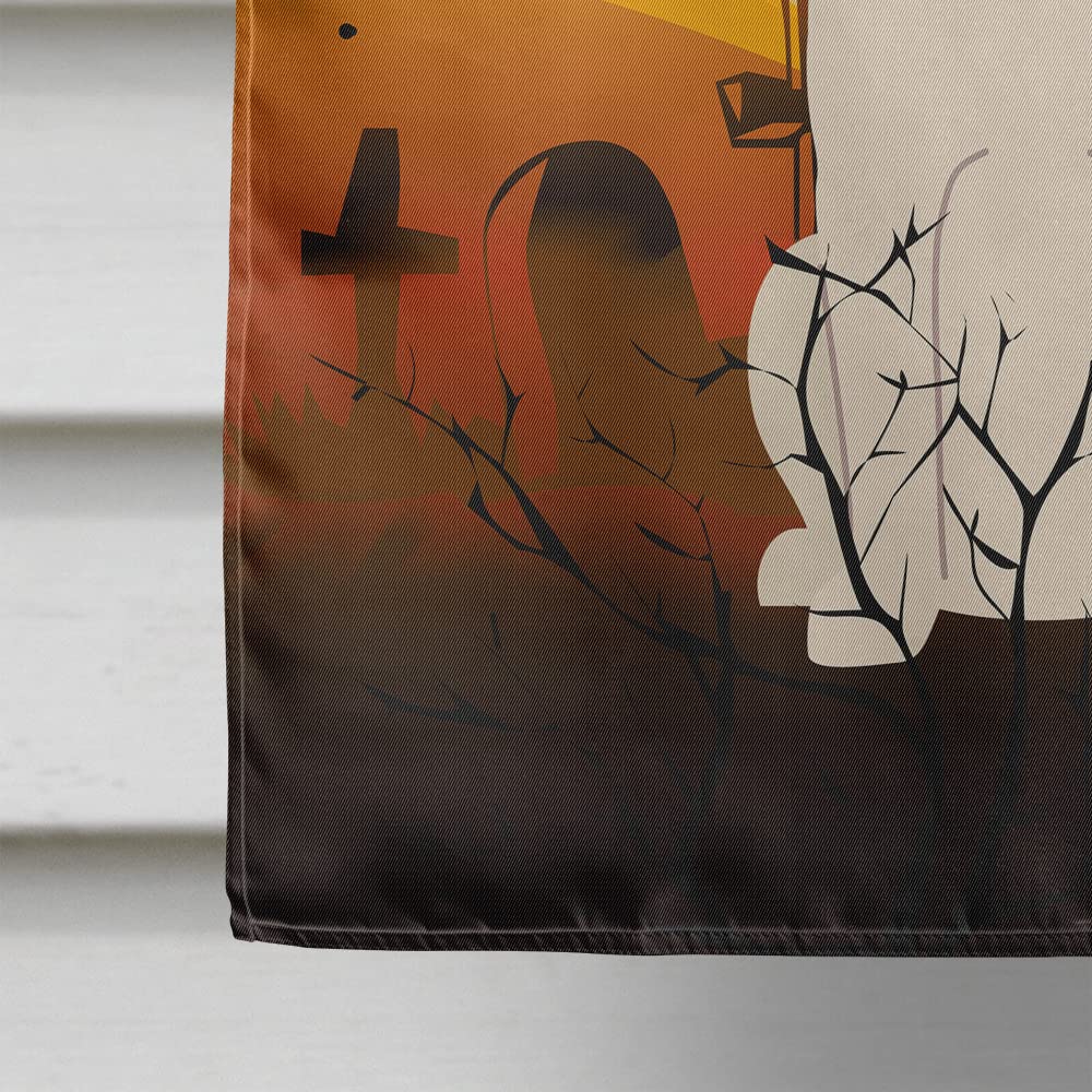 Caroline's Treasures BB4301CHF Halloween Saint Bernard Flag Canvas House Size, Large, Multicolor