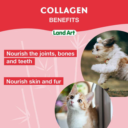Pet Collagen Supplement - Grass Fed Beef Hydrolyzed - Natural Beef Flavour - Joint Care - Mobility & Health - Gluten, GMO & Sugar Free - for Dog & Cats - Made in Canada - 500ml 🍁 All In One Marketplace Canada