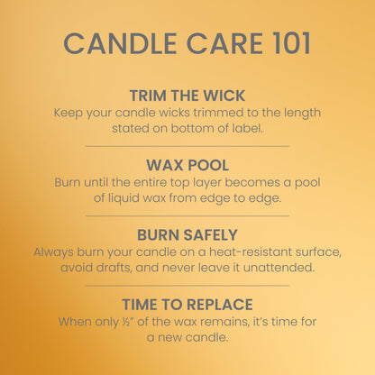 Yankee Candle Large Jar Scented Candle with up to 150 Hour Burn Time, Premium Plant Wax Blend for Cleaner Consistent Burn and Room Filling Fragrance, 22 oz, Autumn Wreath 🍁 All In One Marketplace Canada