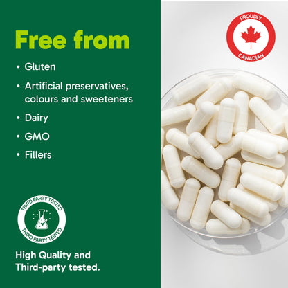 Organika Canadian-Made Liposomal Vitamin C 1000mg Daily- High Absorption for Superior Bioavailability, Immunity- 60vcaps 🍁 All In One Marketplace Canada