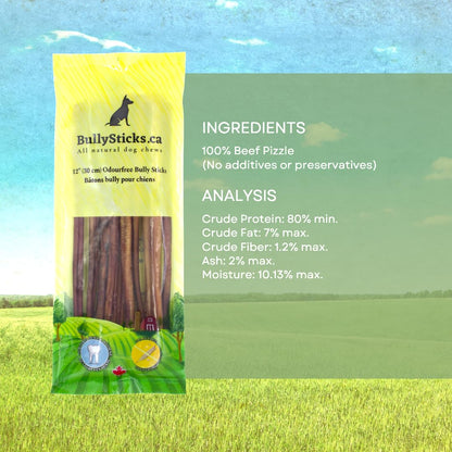 ODOURFREE 12" Standard Bully Sticks for Dogs (10 Pack) Dental Chew - Rawhide Free - Supports Dental Hygiene - Single Beef Ingredient - Consistent Size - Canadian Company 🍁 All In One Marketplace Canada