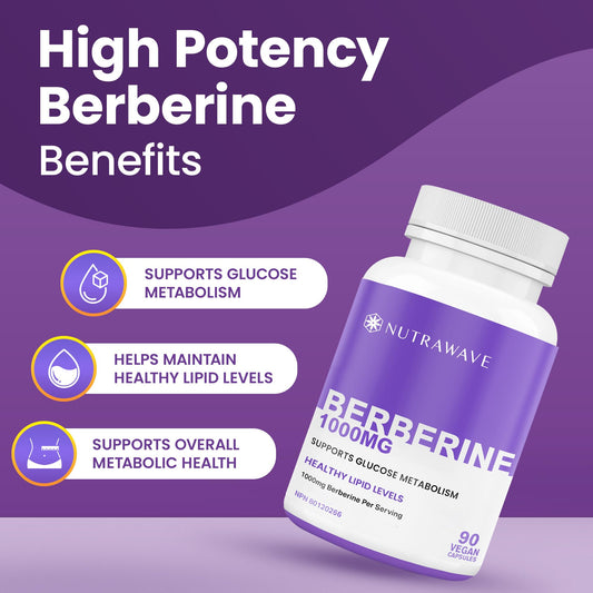 Nutrawave Pure Berberine Maximum Potency, 1000mg per Serving(Each Capsule 500mg), Supports Blood Sugar Levels, Healthy Lipid(Fat) & Glucose Metabolism, Non-GMO, Vegan, Gluten Free, 90 Capsules, 1 Pack 🍁 All In One Marketplace Canada
