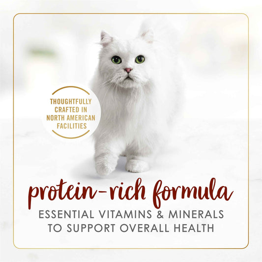 Fancy Feast Chunks Wet Cat Food, Beef Flavour in Gravy - 85 g Can (24 Pack) 🍁 All In One Marketplace Canada