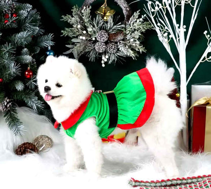 Christmas Dog Dress – Festive Holiday Dress for Dogs