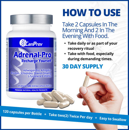 CanPrev Adrenal-Pro Recharge Yourself, 120 Vegan V-Caps with Siberian Ginseng, 30-Day Supply with Ashwagandha, Astragalus, L-Tyrosine, B5 & B6 - Supports Energy Levels, Physical and Mental Vitality 🍁 All In One Marketplace Canada