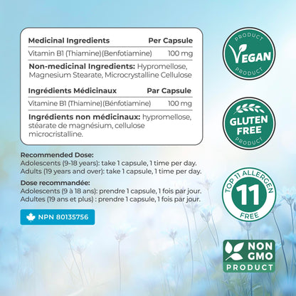 Vitamin B1 Benfotiamine 100mg - High Absorption Energy & Metabolism Support - Highly Bioavailable Thiamine B1 Supplement to Support Energy Production & Metabolism - Made in Canada, Non-GMO - 120 Ct 🍁 All In One Marketplace Canada