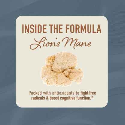 Lion’s Mane Supplement & Nootropic for Mental Clarity | 4 Month Supply | Performance & Memory Support | Antioxidant Rich & Immunomodulating Mushroom | Extra Strength Lions Mane 500mg | Non-GMO 120ct 🍁 All In One Marketplace Canada