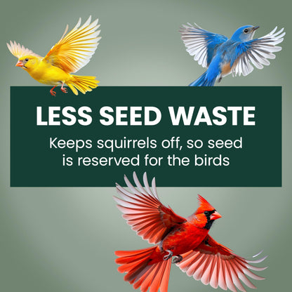 Perky-Pet 336-1SR Squirrel-Be-Gone Bird Feeder, 2LB Squirrel Proof Outdoor Wild Bird Feeder with Weight-Activated Perches 🍁 All In One Marketplace Canada