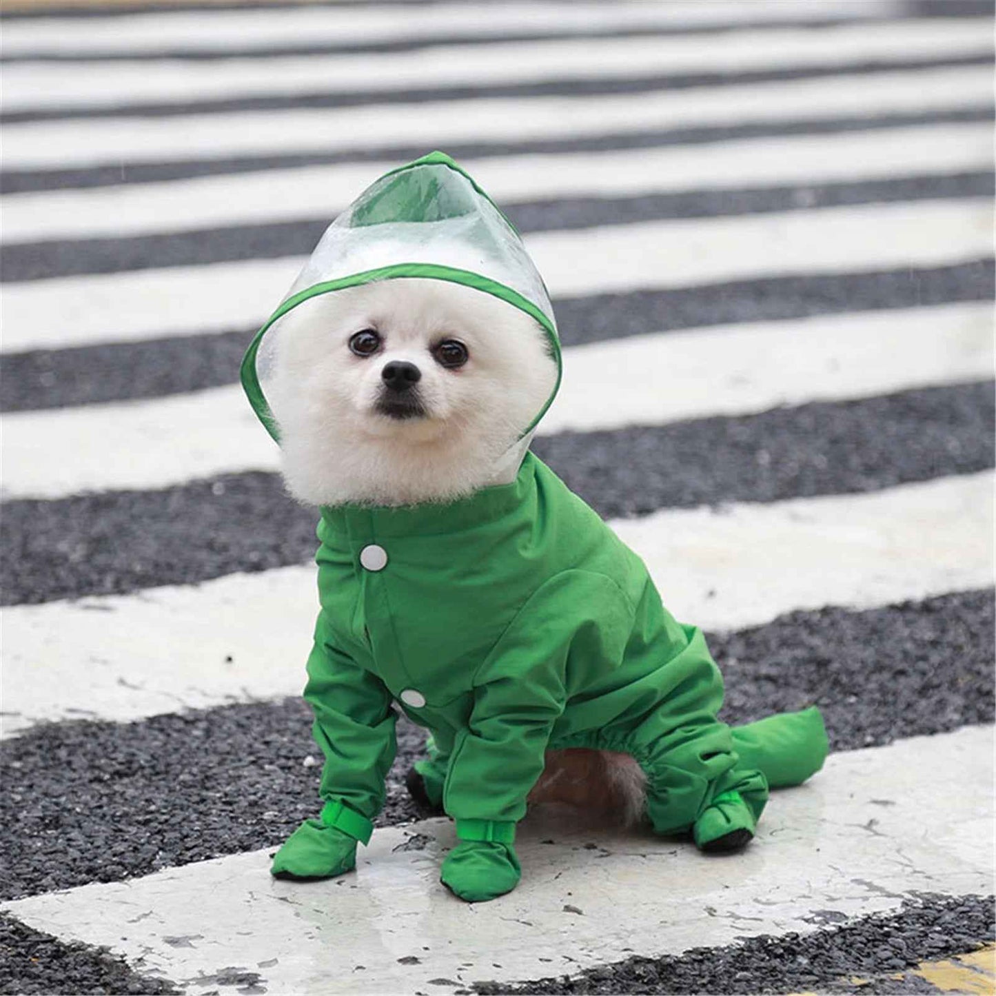 Canada Raincoat