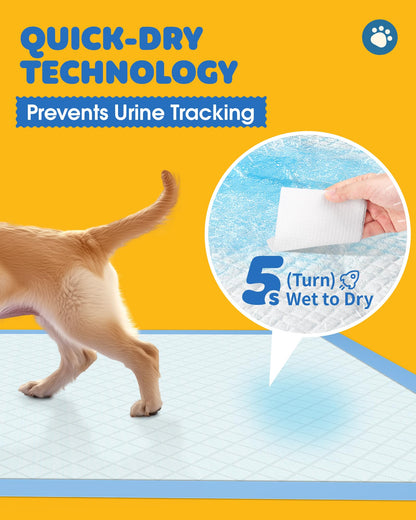 Powools 50-Pack X-Larg Puppy Pads - 34" x 28" Extra Large Pee Pads for Dogs with 6-Layer Leakproof Protection, Quick-Dry and Disposable Dog Pads with High Absorbency for Easy Potty Training 🍁 All In One Marketplace Canada