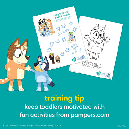 Pampers Easy Ups Girls & Boys Potty Training Pants, Size 5 (3T4T), Bluey Absorbent Training Underwear, Up to 100% Leakproof Day and Night, Hypoallergenic, 1 Pack (Count of 66) 🍁 All In One Marketplace Canada