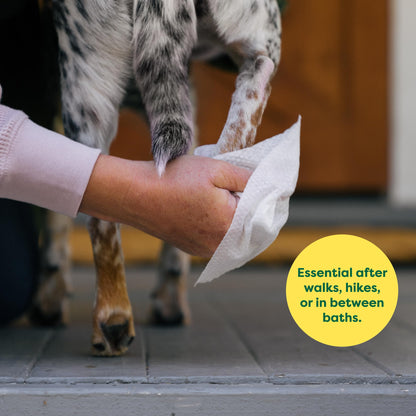 Earth Rated (A Canadian Company) Dog Wipes, Hypoallergenic, Cleaning and Hydrating, for Grooming Paws, Body and Butt, Lavender Scented, 400 Count 🍁 All In One Marketplace Canada