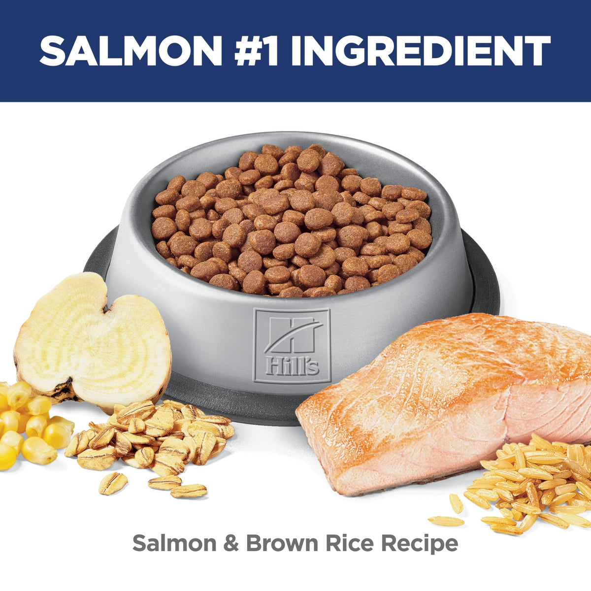 Hill's Science Diet Adult Perfect Digestion Salmon, Brown Rice & Whole Oats Recipe Dry Cat Food 1.58 kg Bag 🍁 All In One Marketplace Canada