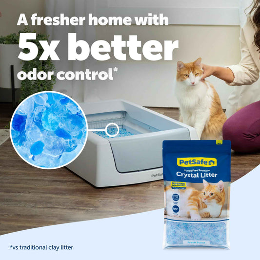 ScoopFree Premium Fresh Scent Crystal Litter, Superior Odor Control, Absorbs 5X Faster, Low Tracking for Less Mess, Lasts up to 2 Months, Lightly Scented (8 lb Bag) 🍁 All In One Marketplace Canada