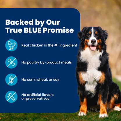 Blue Buffalo Life Protection Formula Chicken & Brown Rice Healthy Weight Large Breed Adult Dry Dog Food, Supports Immunity with LifeSource Bits, Promotes Healthy Lean Muscles,11.7kg/26 lbs 🍁 All In One Marketplace Canada