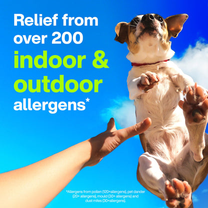 Claritin Rapid Dissolve Allergy Medicine, 24-Hour Non-Drowsy Relief 10 mg, 50 Tablets 🍁 All In One Marketplace Canada