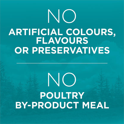 Purina ONE True Instinct Grain Free Dry Cat Food, High Protein Chicken - 6.53 kg Bag 🍁 All In One Marketplace Canada