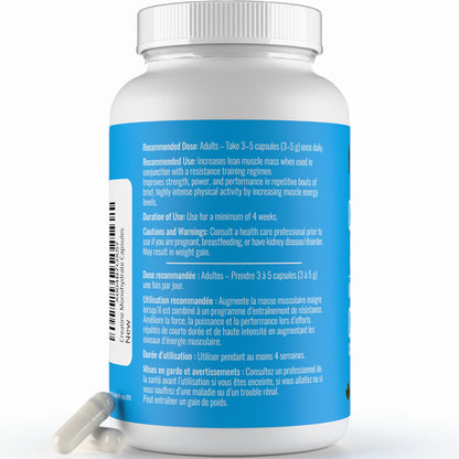 Creatine Capsules - 100% Creatine Monohydrate 1000 mg x 150 Pills (3-5 g Serving) - Made in Canada - Premium Strength and Muscle Growth Supplement by Nutritionn 🍁 All In One Marketplace Canada