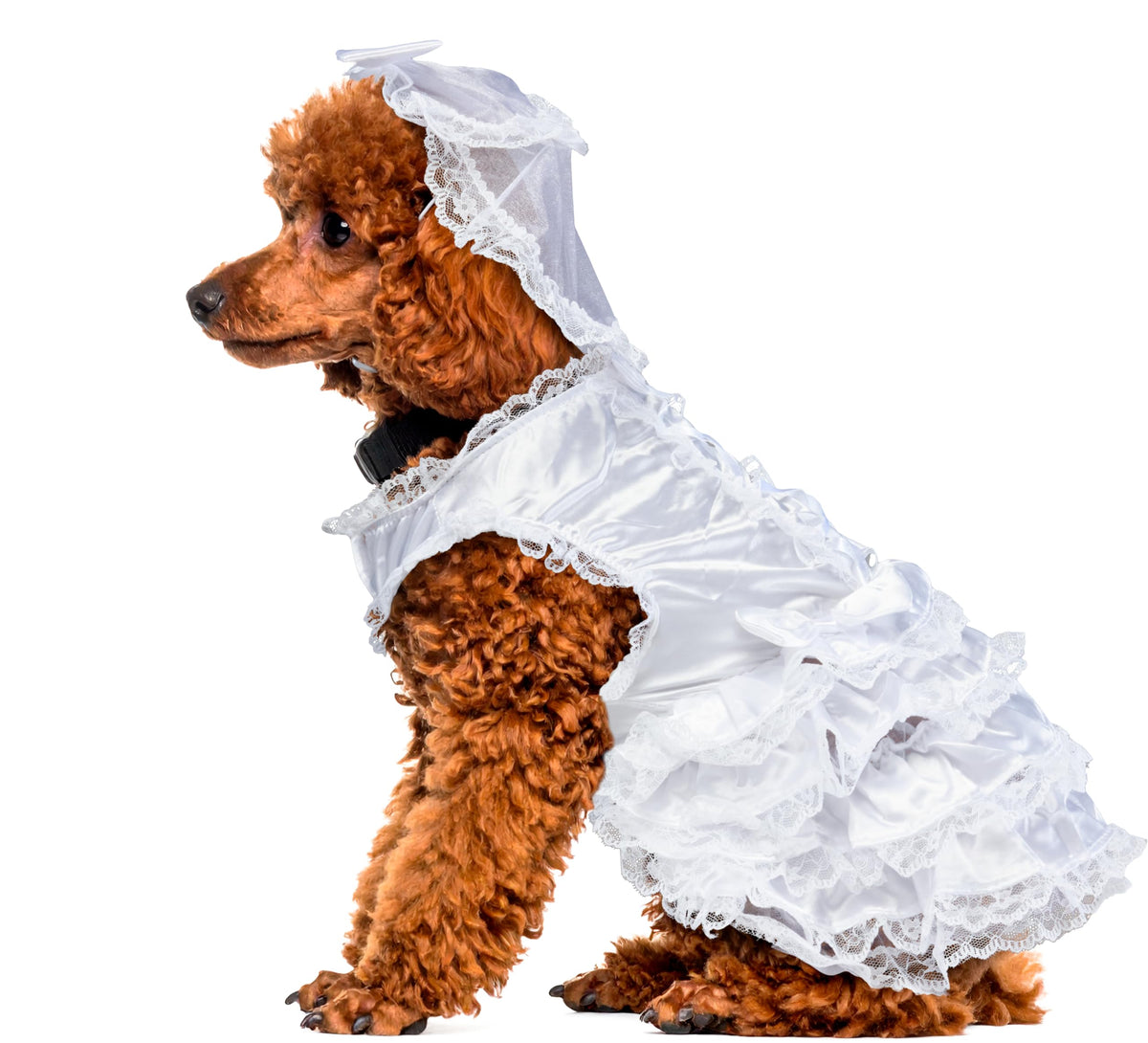 Rubies Costume Co Halloween Classics Collection Pet Costume, X-Large, Bride