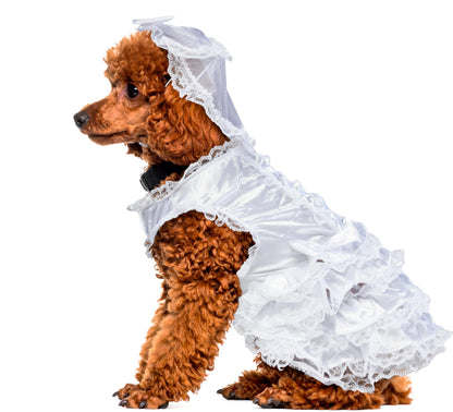 Rubies Costume Co Halloween Classics Collection Pet Costume, Medium, Bride