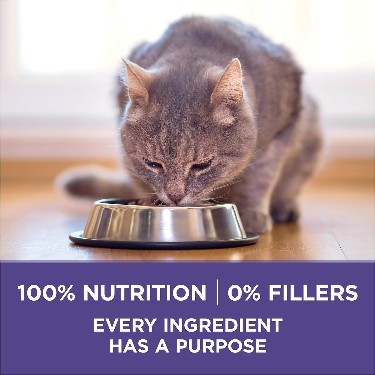 Purina ONE +Plus Dry Cat Food, Hairball Formula Chicken - 3 kg Bag 🍁 All In One Marketplace Canada