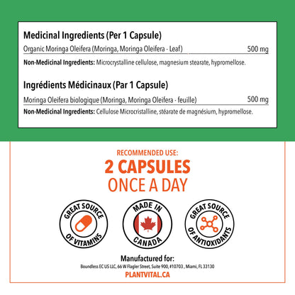 PlantVital Organic Moringa Leaf Capsules - Made in Canada - 1000mg High Potency (500mg per cap) Moringa Pure Capsules for Antioxidant, and Eye Health - Vegan, Non-GMO, Gluten Free (120 Count, 60 Days) 🍁 All In One Marketplace Canada